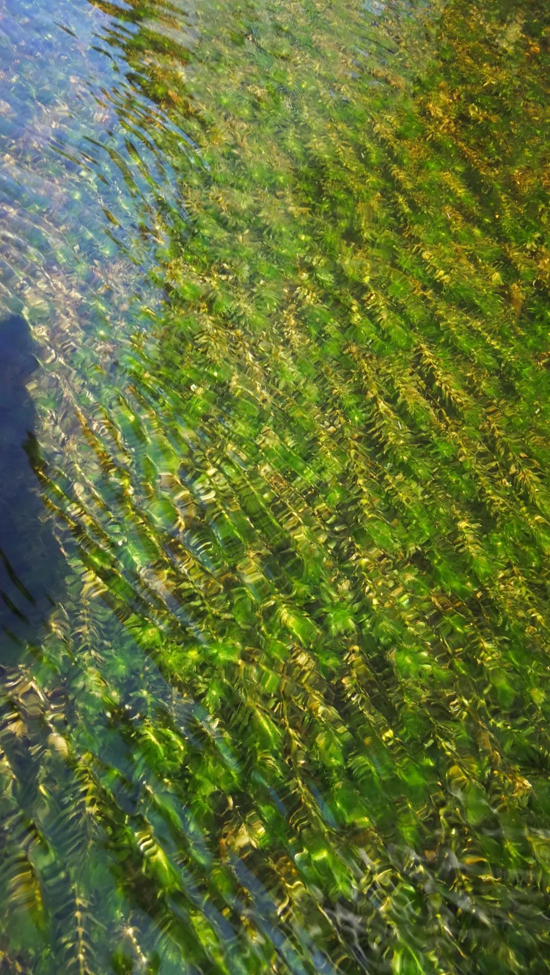 微信圖片_20180813094213.jpg 微信圖片_20180813094213.jpg